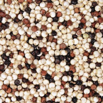 Tricolour Quinoa, Organic, 5kg